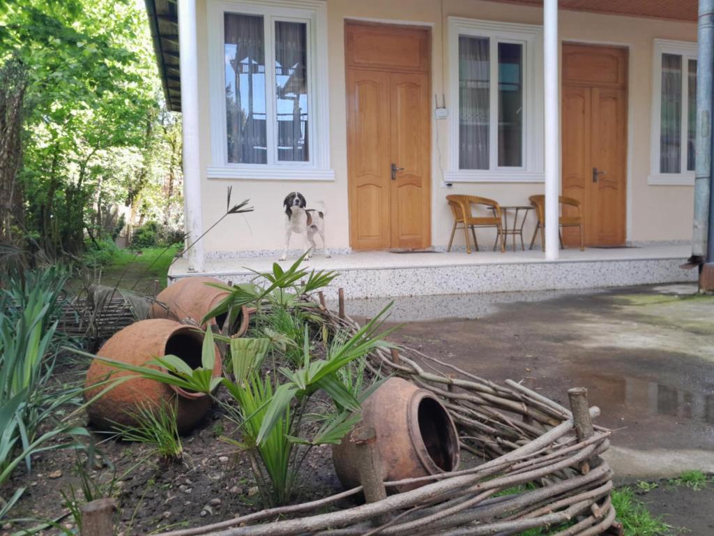 Zahrada ubytování BaBa guesthouse