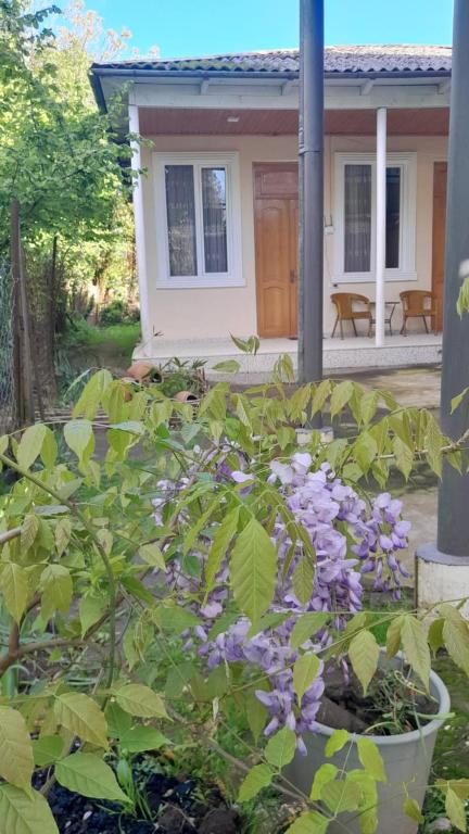 Zahrada ubytování BaBa guesthouse
