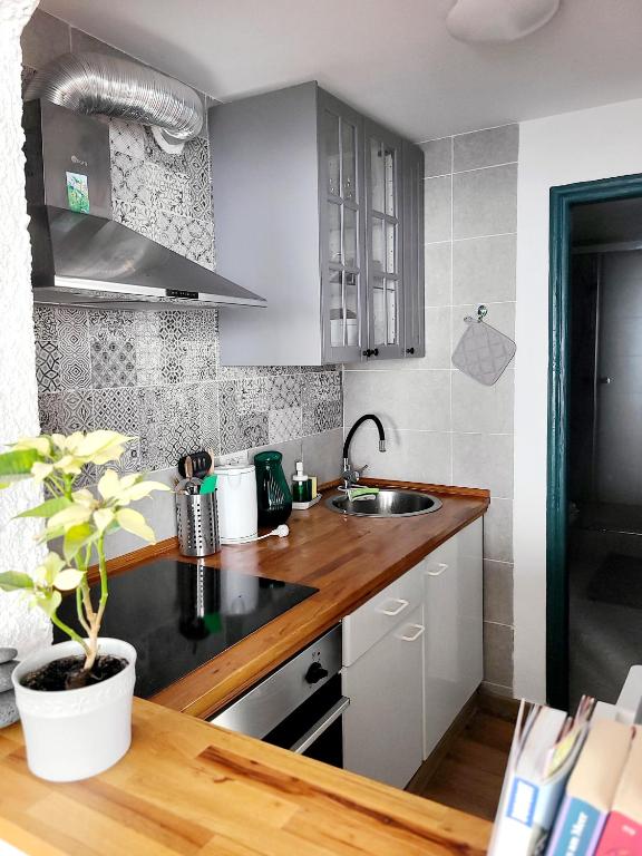 Kuchyň nebo kuchyňský kout v ubytování Sea lover's nest