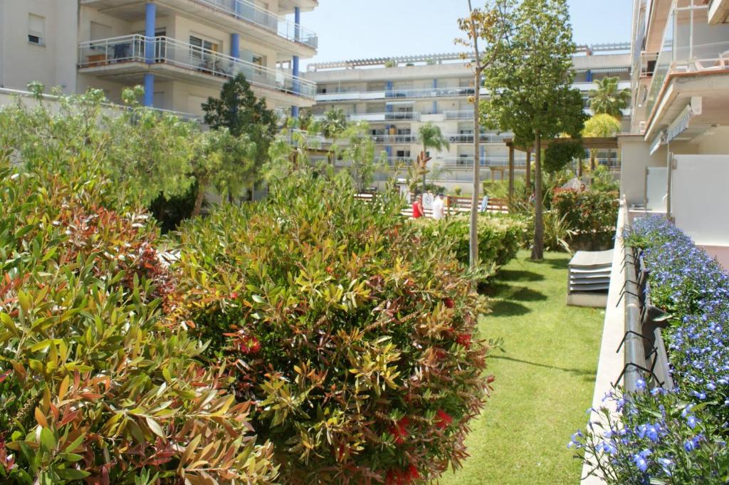 A garden outside Precioso apartamento para 6 personas AV-74
