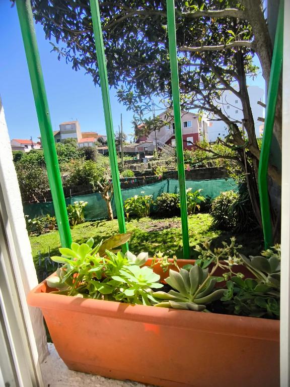 A garden outside Albergue Por Fin
