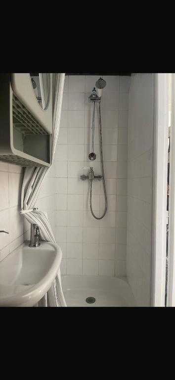 une salle de bain avec douche et lavabo dans l'établissement Le Dauphine, à Dijon