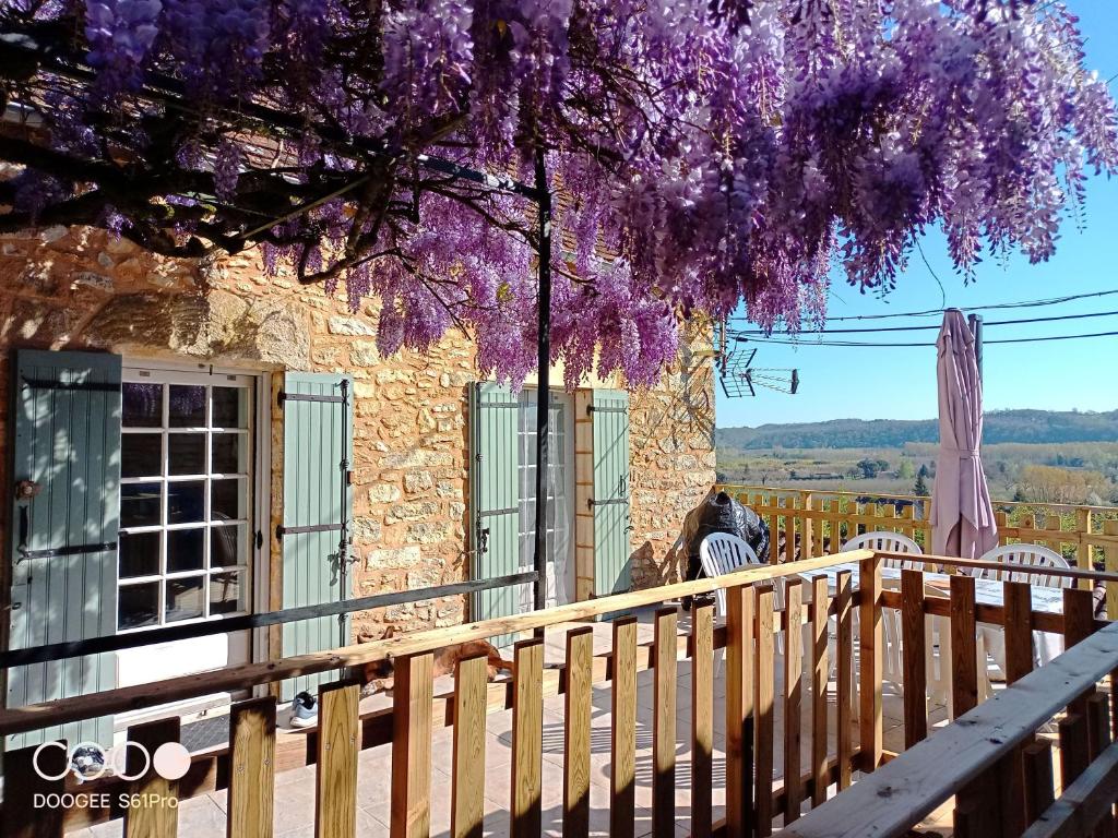 un árbol con flores púrpuras colgando sobre una valla de madera en Maison Les Glycines, en La Roque-Gageac