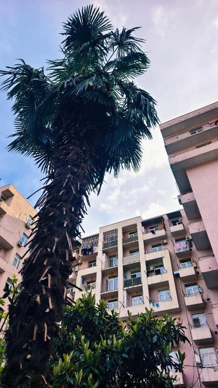 Edificio in cui si trova l'ostello
