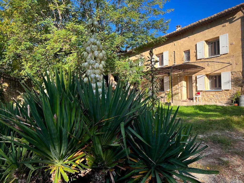 une usine dans une cour devant un bâtiment dans l'établissement Quelquepart au vert 2, à Saint-Christol-de-Rodières