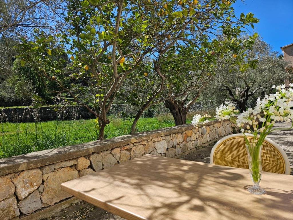 Zahrada ubytování Agroturismo Finca Can Sec
