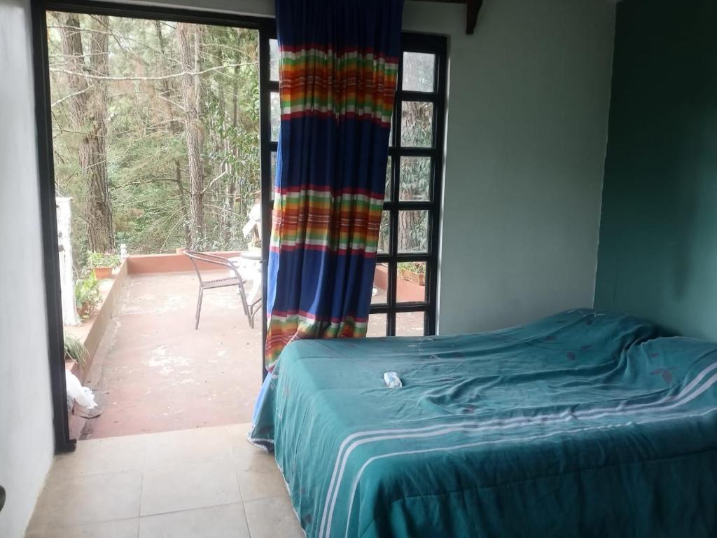 une chambre avec un lit et une porte coulissante en verre dans l'établissement Hostel del bosque, à San Cristóbal de Las Casas