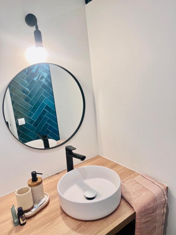 une salle de bain avec un lavabo et un miroir sur un comptoir dans l'établissement Cozy apartment between Paris & Disneyland, à Le Perreux-Sur-Marne