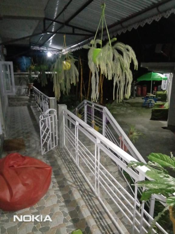 a white fence with plants hanging from a building at Yellow Bamboo Homestay in Mangpu