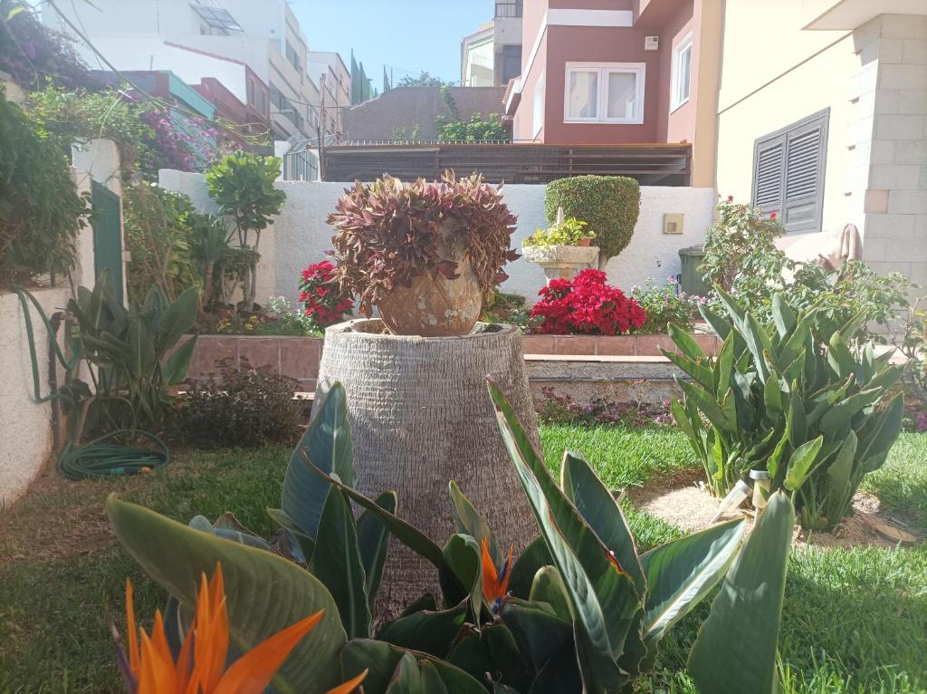 Zahrada ubytování Casa Quico 2