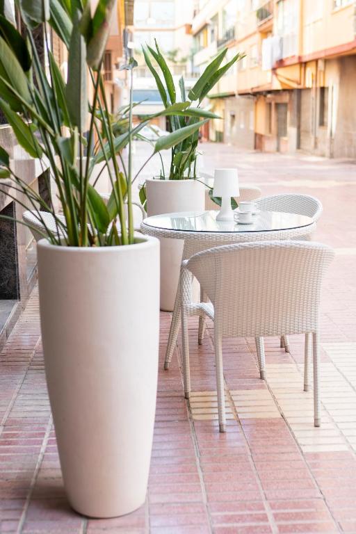 Fotografie z fotogalerie ubytování Hotel Primavera v destinaci Benidorm