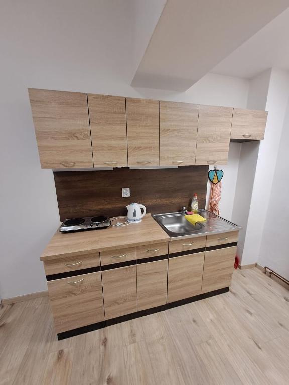 Kuchyň nebo kuchyňský kout v ubytování Ubytování Na Růžku
