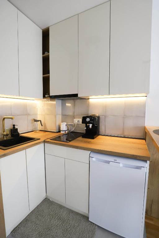 Kuchyň nebo kuchyňský kout v ubytování Apartman Aleksandra Vrnjacka Banja