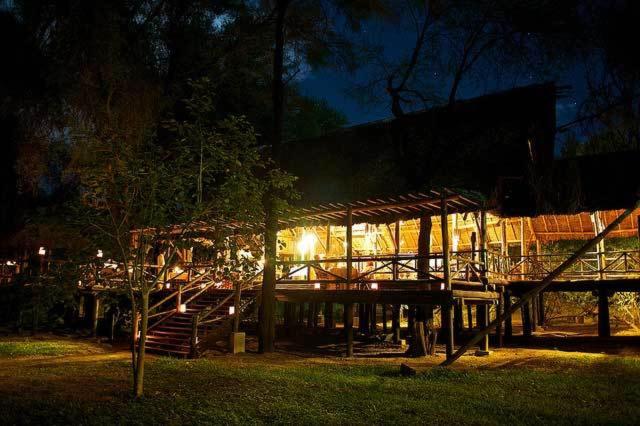 Ein Garten an der Unterkunft Samburu Intrepids Tented Camp