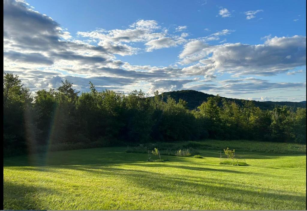 un champ d'herbe verte avec un arc en ciel dans l'établissement Private, Quiet Vermont Studio With Mountain Views, à Guilford