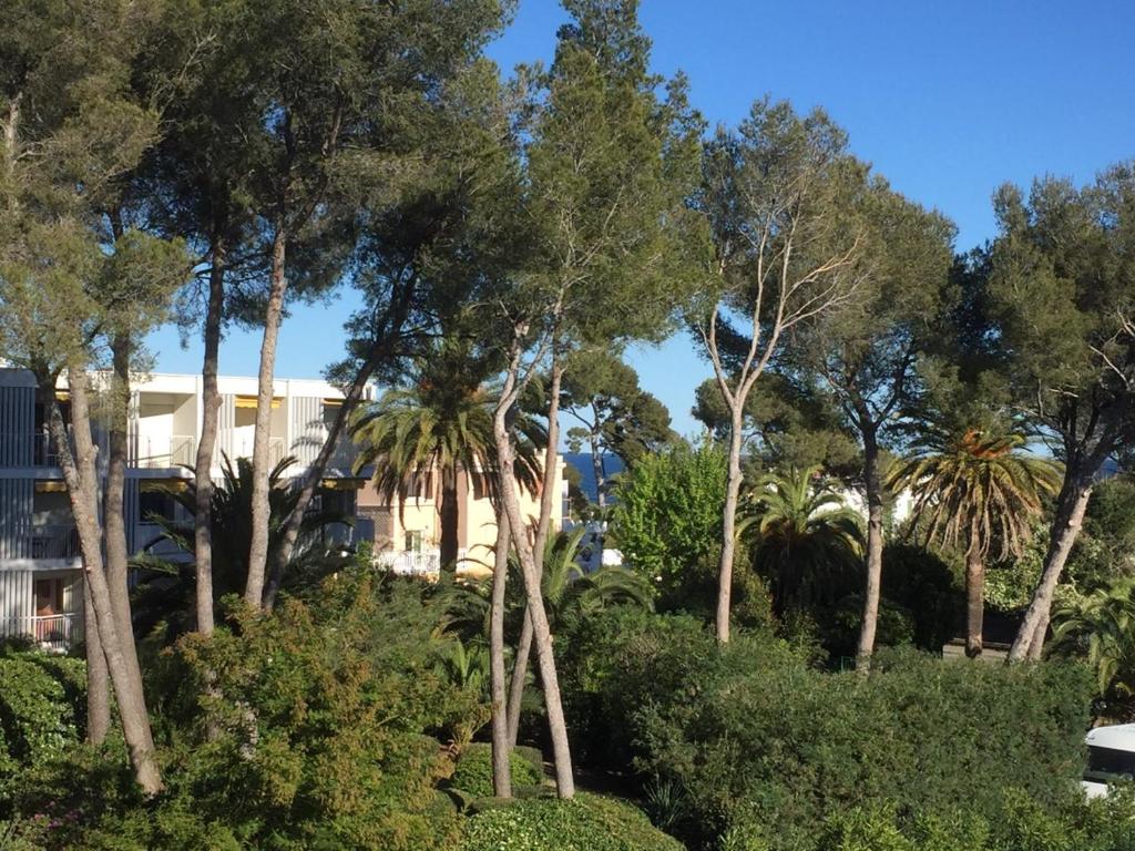 un groupe d'arbres et de buissons devant un bâtiment dans l'établissement Les Anthemis- Bord de mer, à Saint-Raphaël