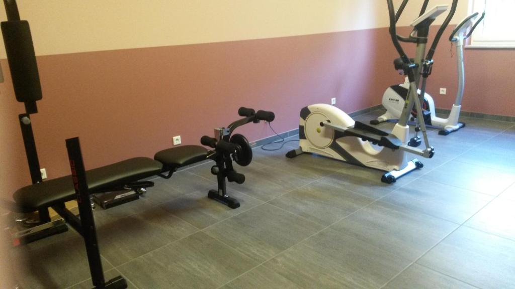 Fitness centrum a/nebo fitness zařízení v ubytování Ferienhof Hoppe