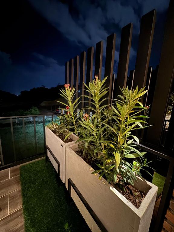 Zahrada ubytování Cabañas La Sanguina, Loft S2