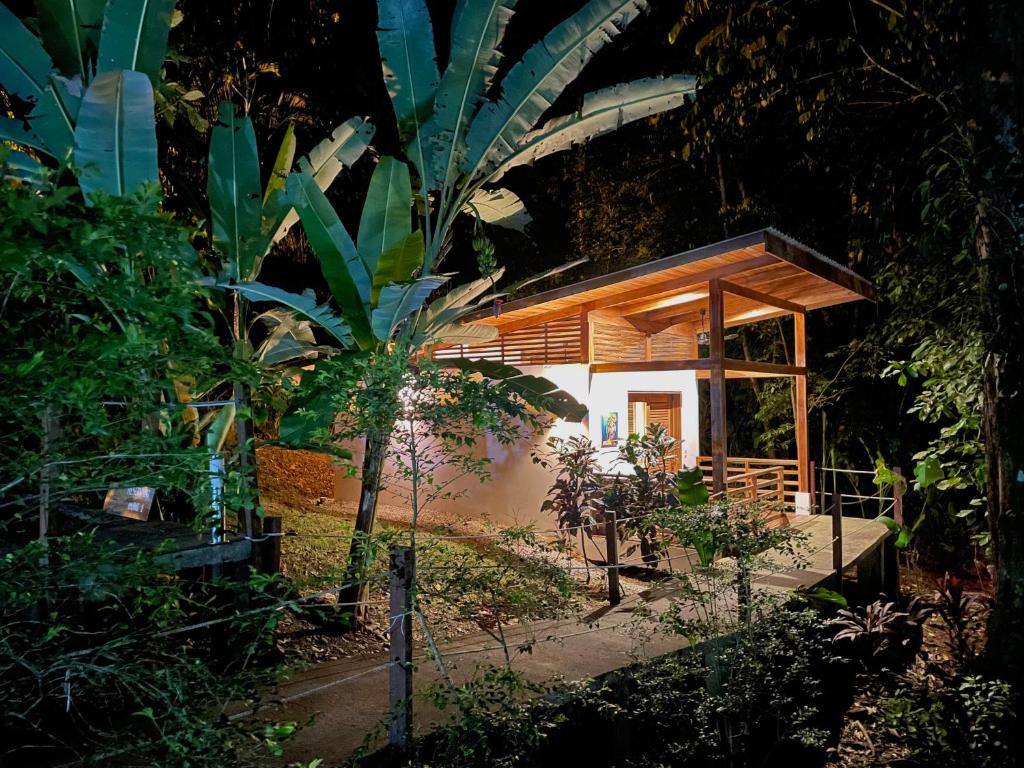 Un jardín fuera de Satta Lodge