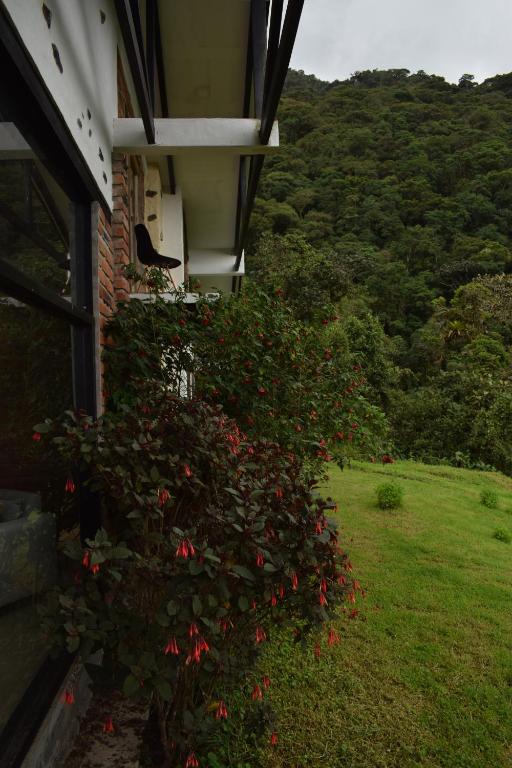 Nespecifikovaný výhled na hory nebo výhled na hory při pohledu z bed and breakfast