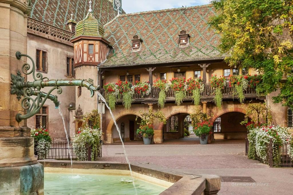 L'ambassadeur - Colmar centre – photo 6