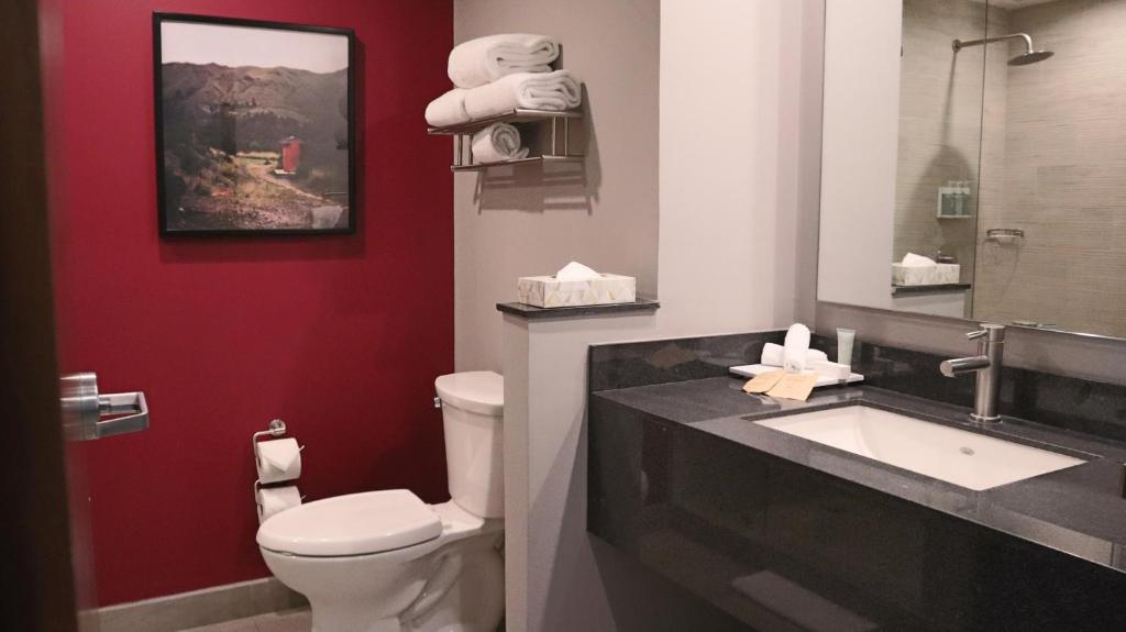 Fairfield Inn & Suites by Marriott Aguascalientes - Executive King Suite