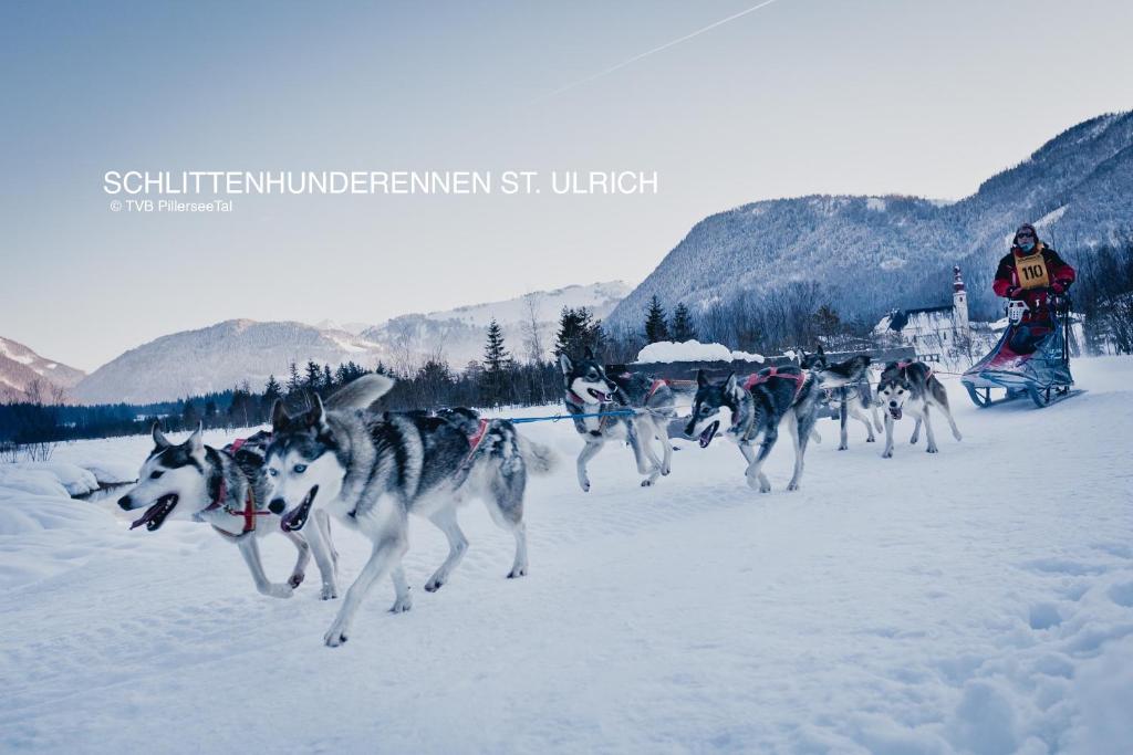 Ferienwohnung Alpenglück v zimě