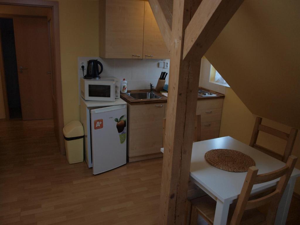 Kuchyň nebo kuchyňský kout v ubytování Apartments Viktoria Klinovec