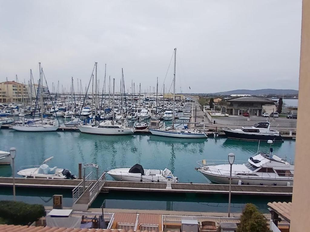 un groupe de bateaux amarrés dans un port dans l'établissement Appartement T2 Frontignan-Plage, 6 pers, vue port, parking inclus - FR-1-785-17, à Frontignan