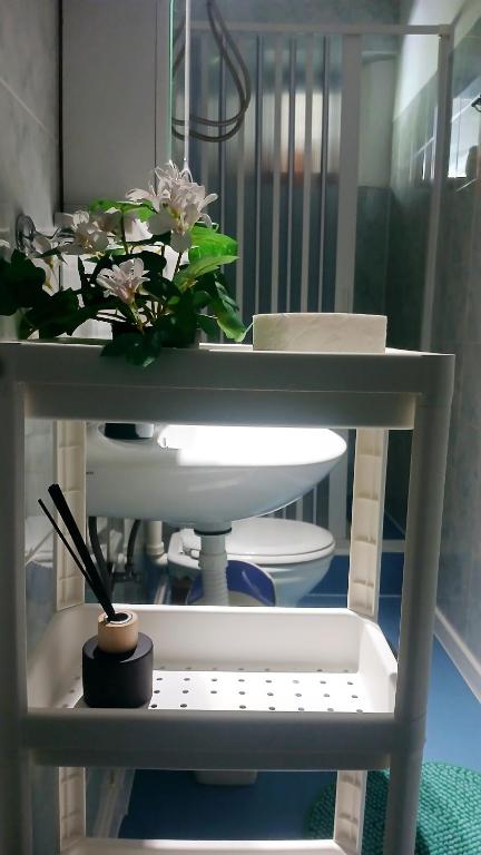 Joković Accommodation - 4