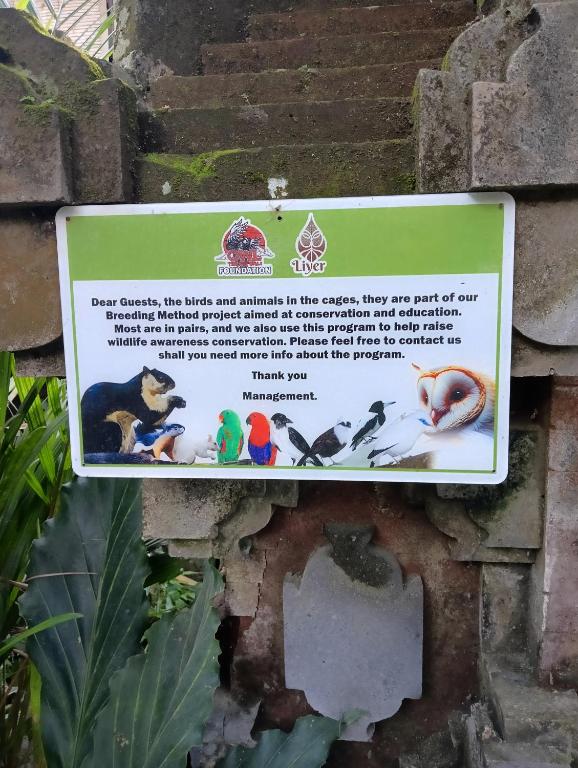 Fotografie z fotogalerie ubytování Liyer Spirit House v Ubudu
