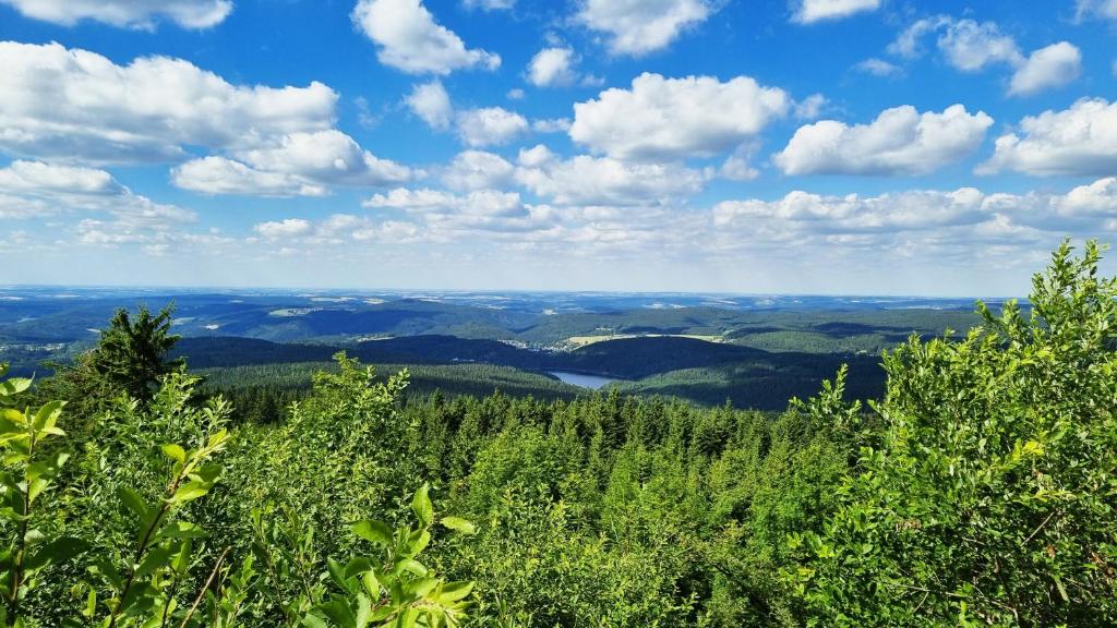 Příroda nedaleko hotelu