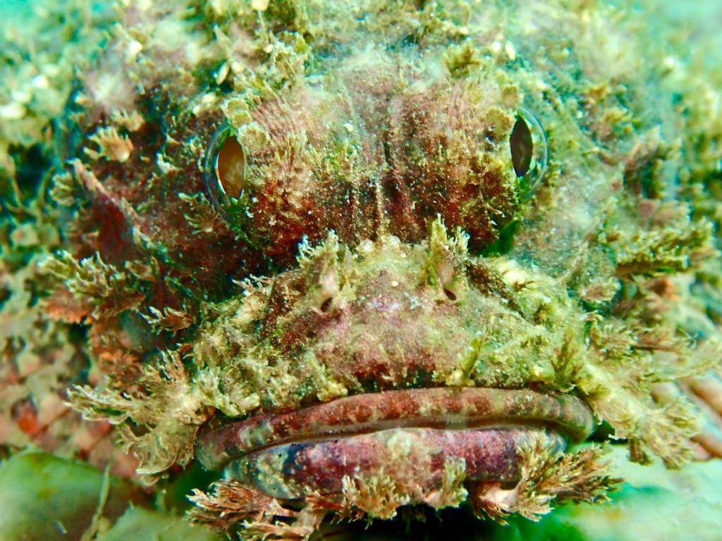 Paesaggio naturale nelle vicinanze della stanza in casa privata