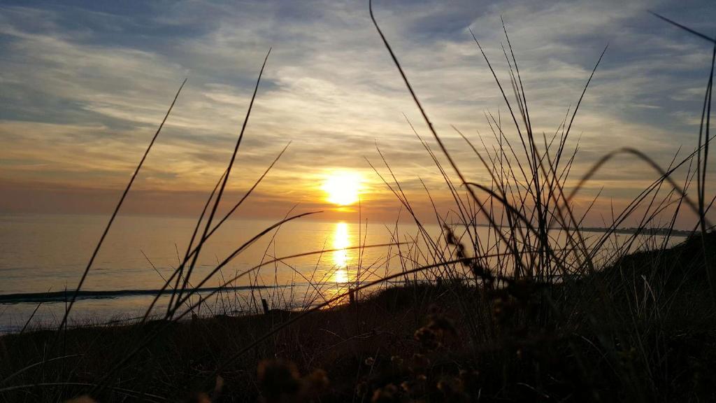 - un coucher de soleil sur la plage avec l'océan et la pelouse dans l'établissement Maison de pêcheurs, à La Couarde-sur-Mer