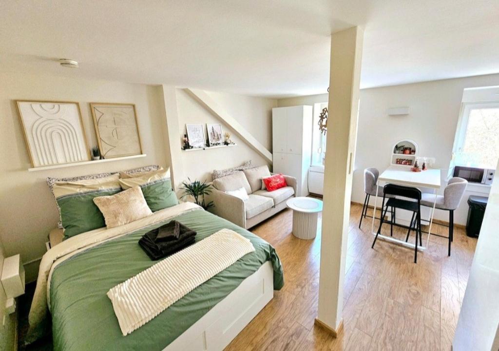 une chambre avec un lit et un salon dans l'établissement Studio tout confort proche gare et centre-ville, à Strasbourg