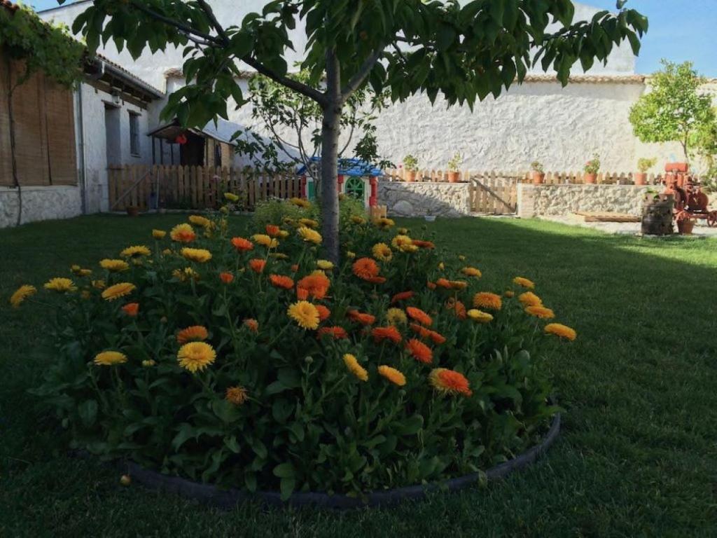 Vonkajšia záhrada v ubytovaní Casa Los Aperos
