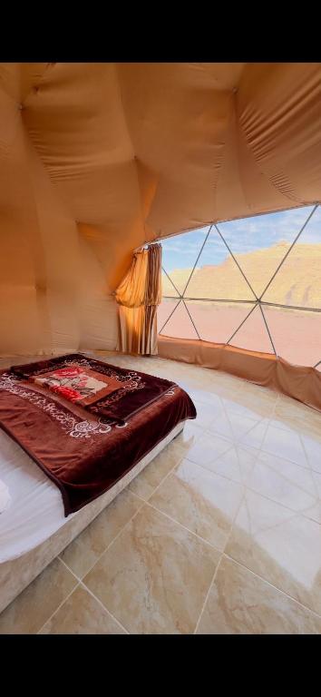 Wadi rum Bubble Camp & tour - 带私人浴室的双人间