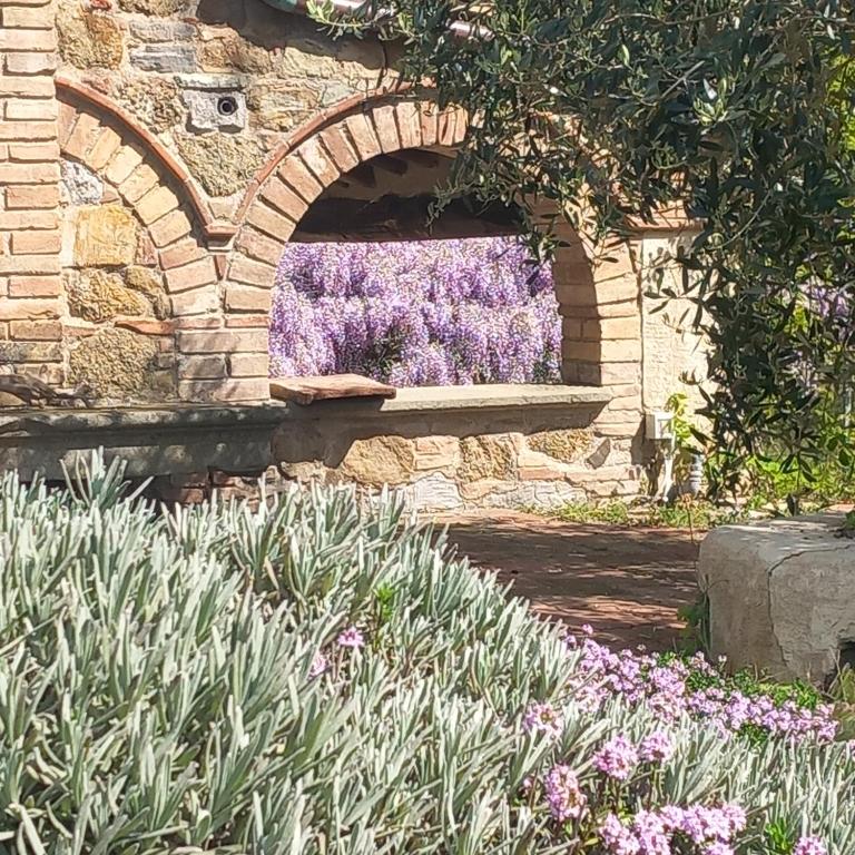 Zahrada ubytování Agriturismo Timignano