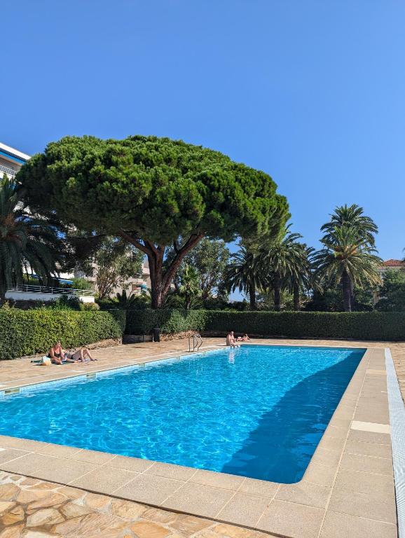 une grande piscine bleue avec un arbre en arrière-plan dans l'établissement Le Pastis - Direct aan het strand en het centrum - Top locatie!, à Cavalaire-sur-Mer
