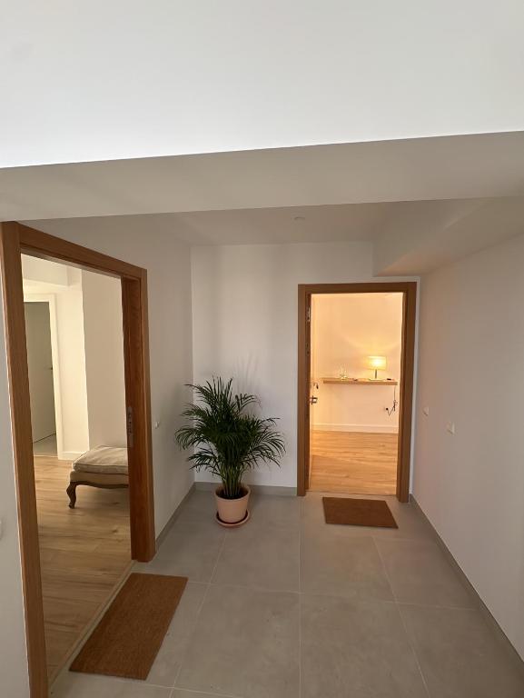 Fotografie z fotogalerie ubytování Apartamento ideal para vacaciones en la playa v destinaci Sant Carles de la Ràpita