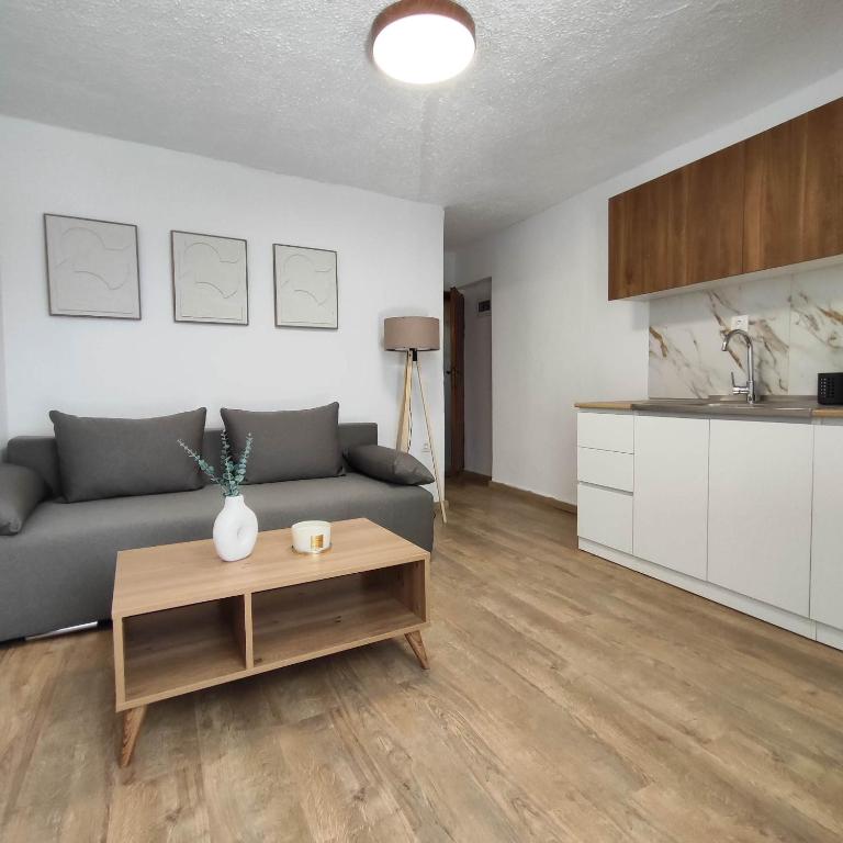 Zenith Apt #1