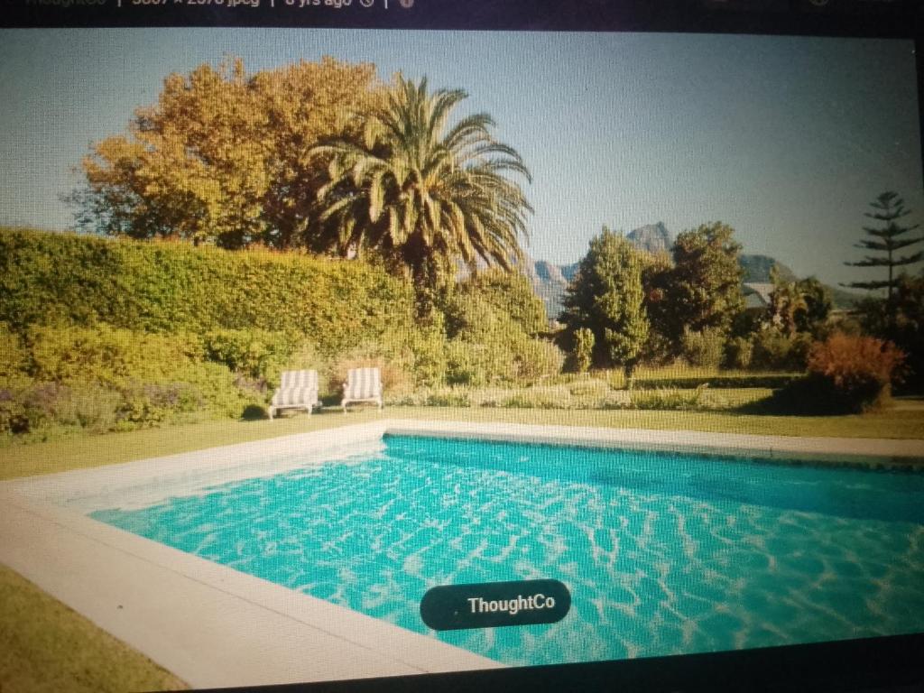 a swimming pool with two chairs and a palm tree at The most powerful spiritual herbalist in Nigeria in Ijebu Igbo