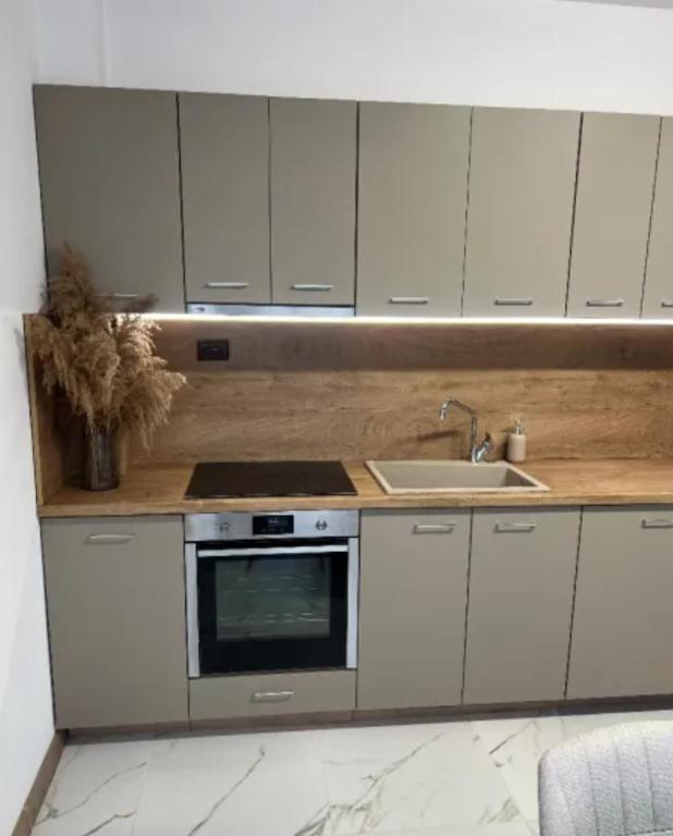 een keuken met witte kasten, een fornuis en een wastafel bij Cassa Massa in Kyustendil