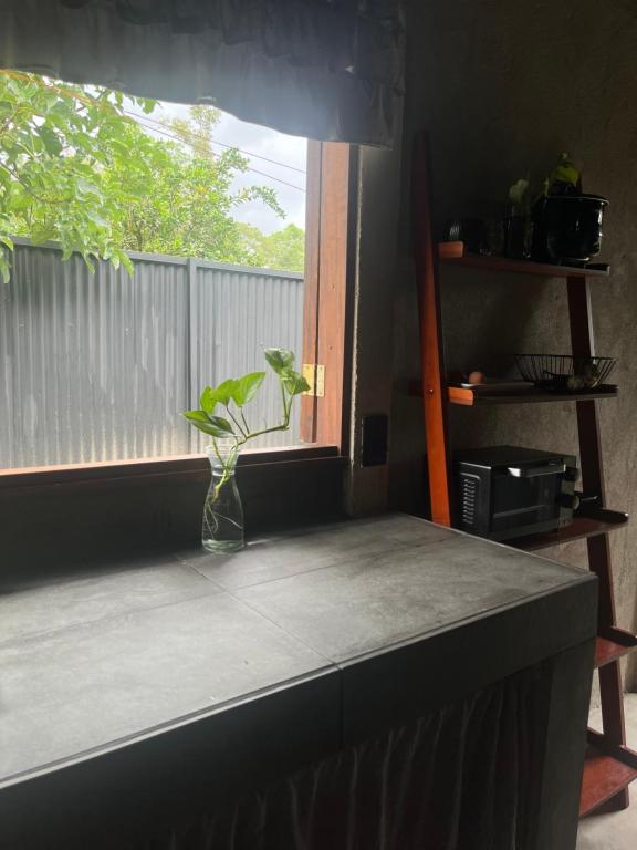 Kuchyň nebo kuchyňský kout v ubytování Casa Fénix