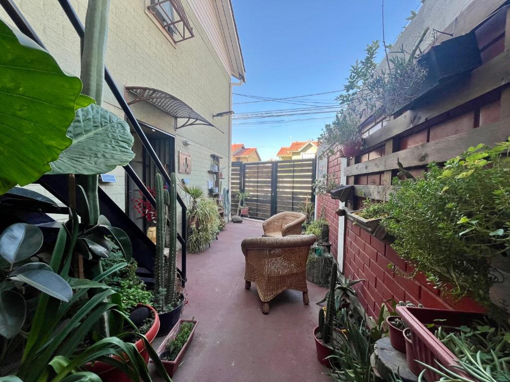 圣地亚哥Hostel Tu Espacio RE - Habitaciones cerca del Aeropuerto的楼里种着椅子和植物的小巷