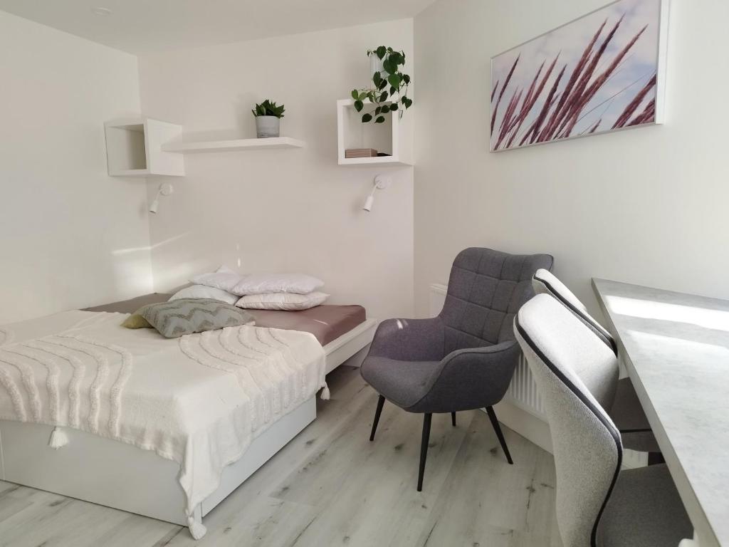 リエパーヤにあるCourtyard Condo Twinのベッドと椅子と机のある寝室