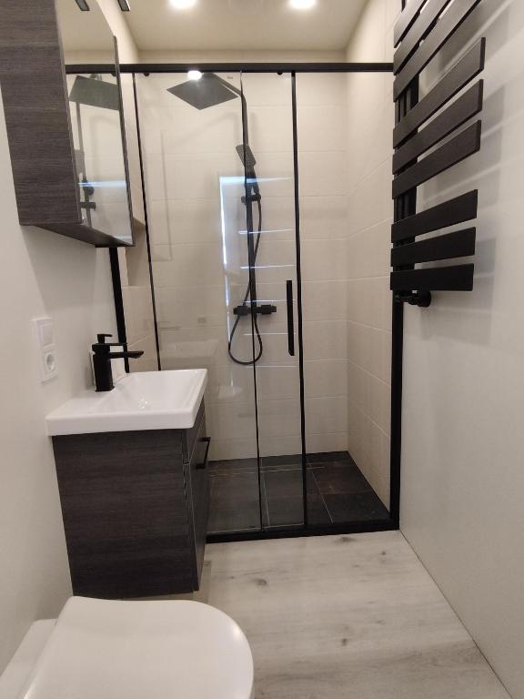 リエパーヤにあるCourtyard Condo Twinのバスルーム(シャワー、トイレ、洗面台付)