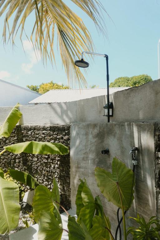 Fotografie z fotogalerie ubytování Avi Cabana v destinaci Himmafushi