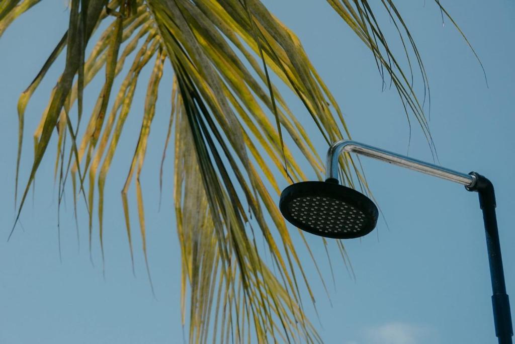 Fotografie z fotogalerie ubytování Avi Cabana v destinaci Himmafushi