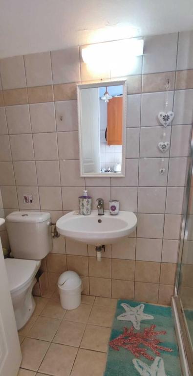 La salle de bains est pourvue d'un lavabo, de toilettes et d'un miroir. dans l'établissement Agapi Studio Acharavi à 50m de la mer, 400m du centre ville, à Acharavi